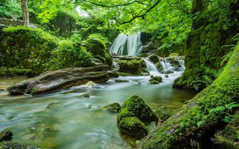 科技稳定性高性能